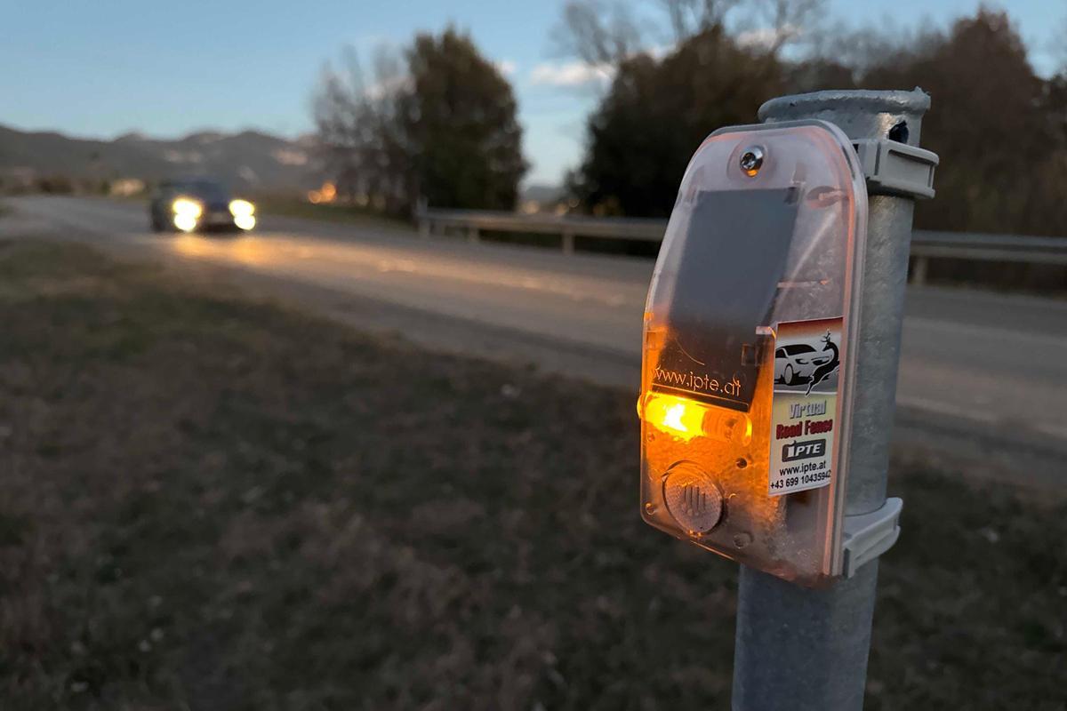 Balises dissuasives de fauna salvatge a la carretera GIP-5233 a Montagut.