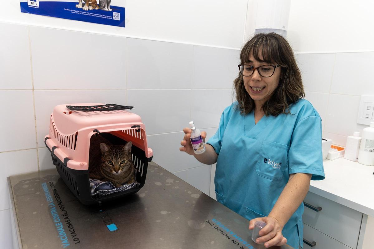 Una veterinaria echa en el ambiente un spray de feromonas.