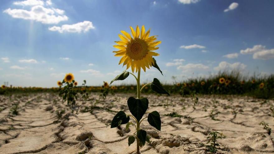 Rècords de temperatura màxima en aquest inici de novembre