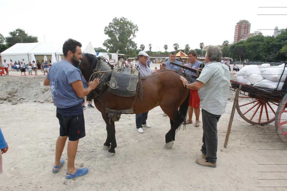 Actividades en el jardín del Túria, el antiguo cauce del río en València.