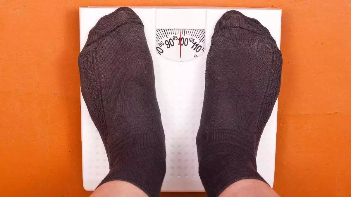 Cuesta dos euros y es rico en proteínas: este producto de Mercadona es perfecto para perder peso