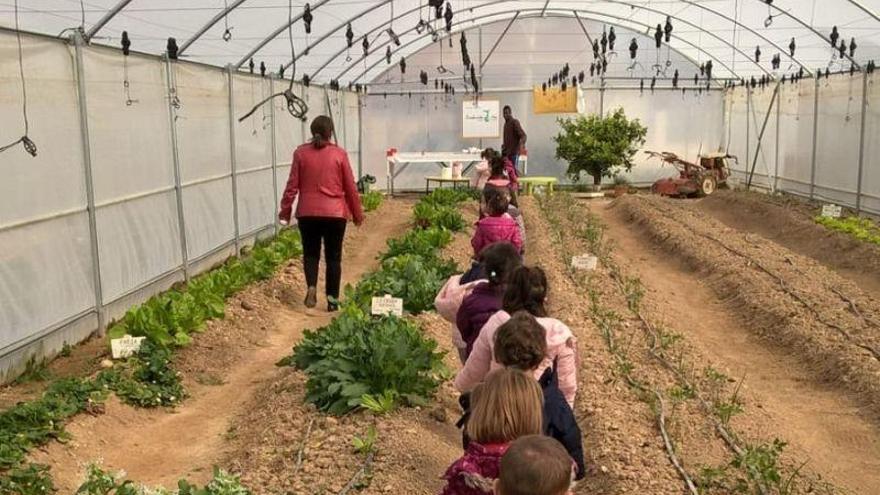 Corteva Agriscience se une a Aldeas Infantiles SOS en su proyecto Huerto-Granja Malvaseda