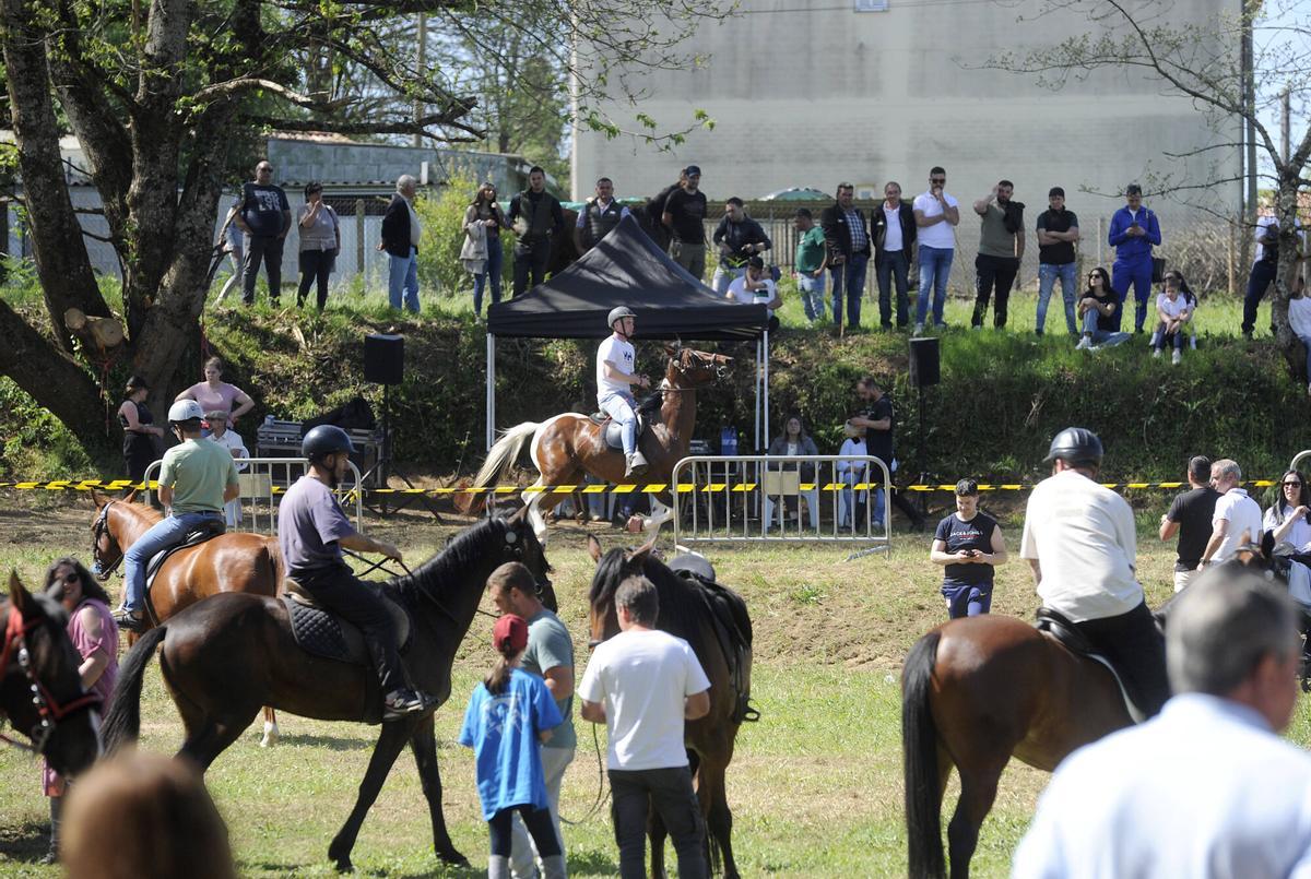 XXXVI Feira do Cabalo de Lalín, 2026