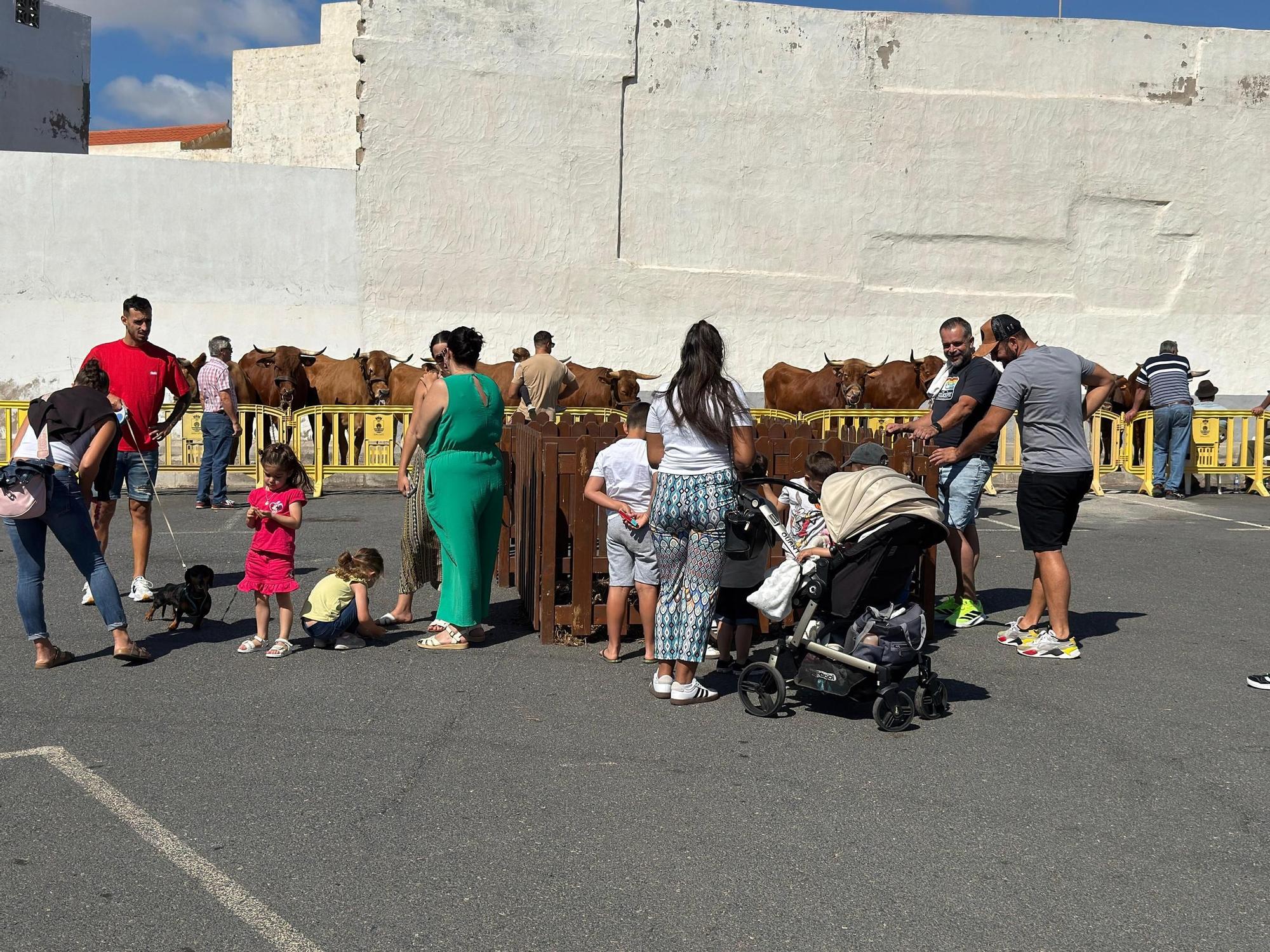 Día grande de las fiestas de San Isidro en Sardina