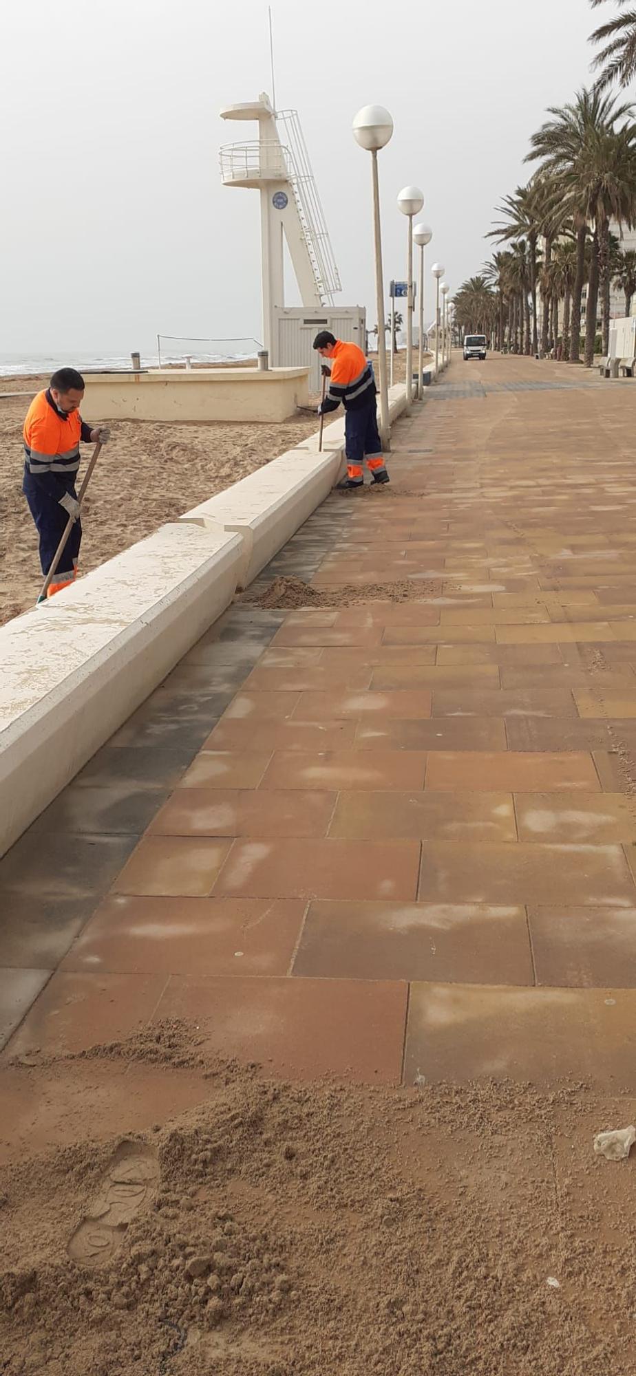 Limpieza en las playas de Alicante