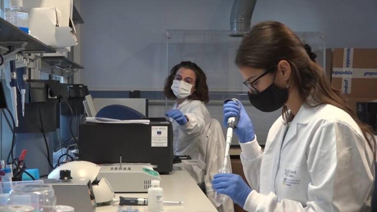 Análisis de  las variantes del coronavirus en España