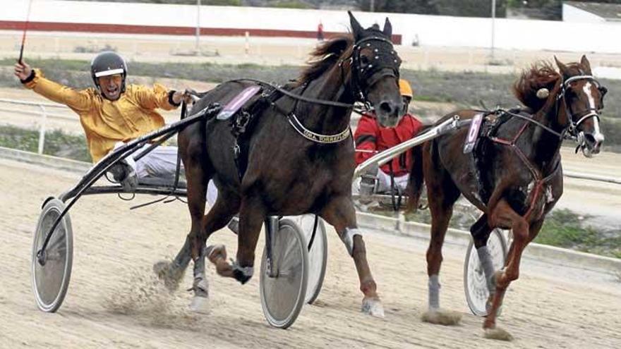 Joan Toni Riera celebró con entusiasmo su victoria a las riendas de Suzuka (1) sobre Bonnie Cadence (6).