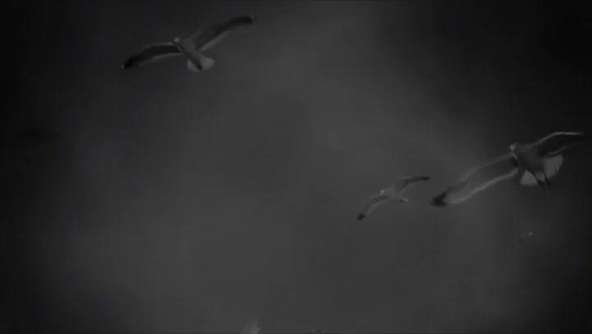 booktrailer-el-prisionero-del-cielo
