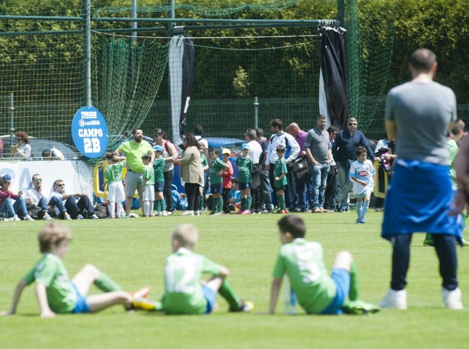 3.000 pequeños futbolistas en Abegondo