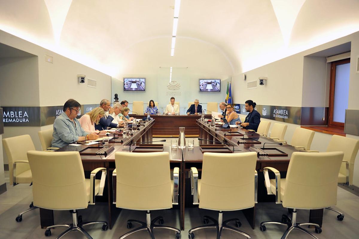 Comisión de Industria, Energía, Ciencia y Territorio de la Asamblea de Extremadura.