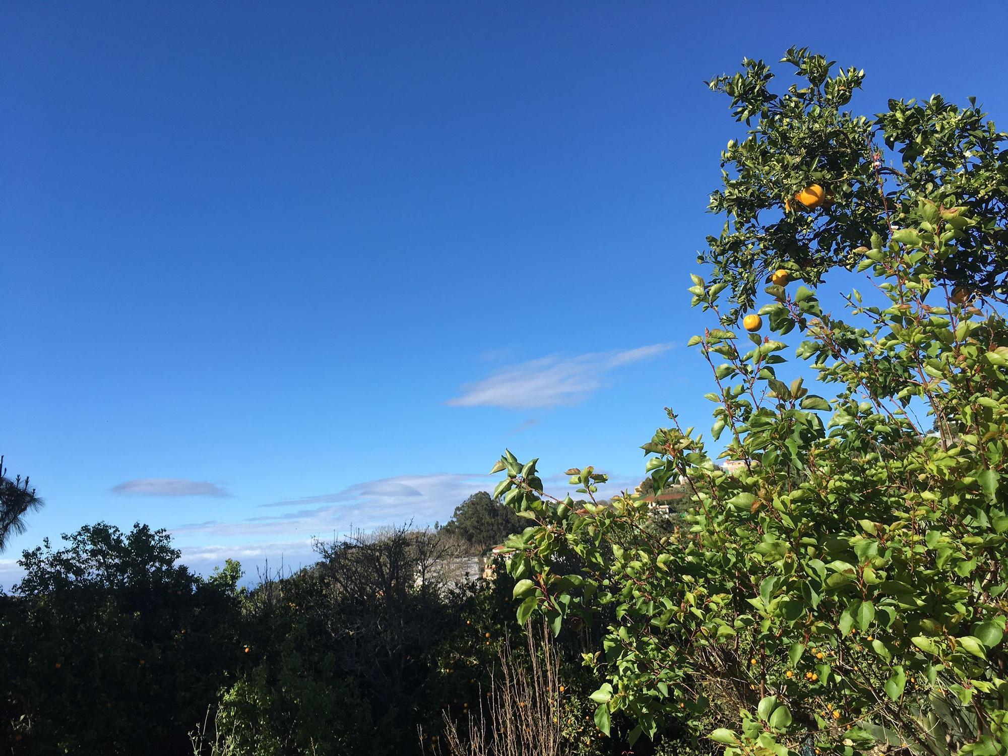 Tiempo en Gran Canaria (31/03/2021)