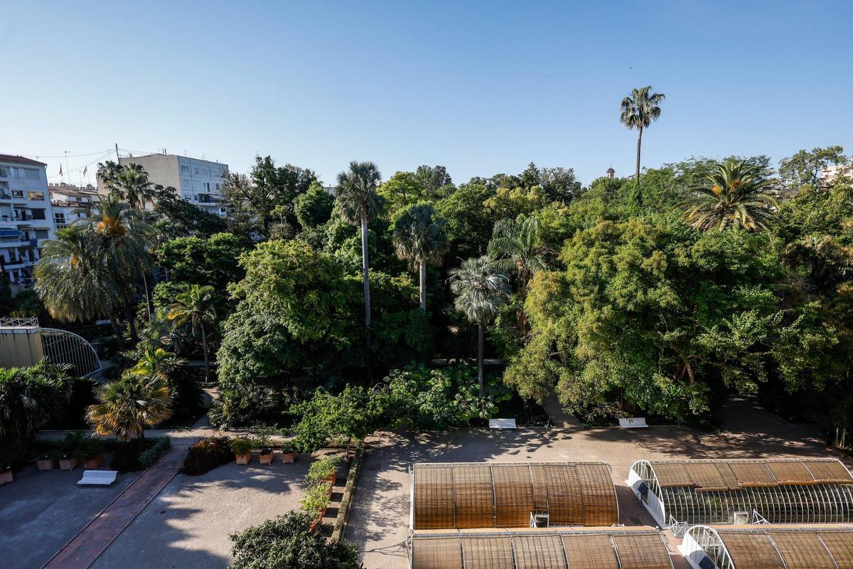El Jardín Botánico de València está de moda
