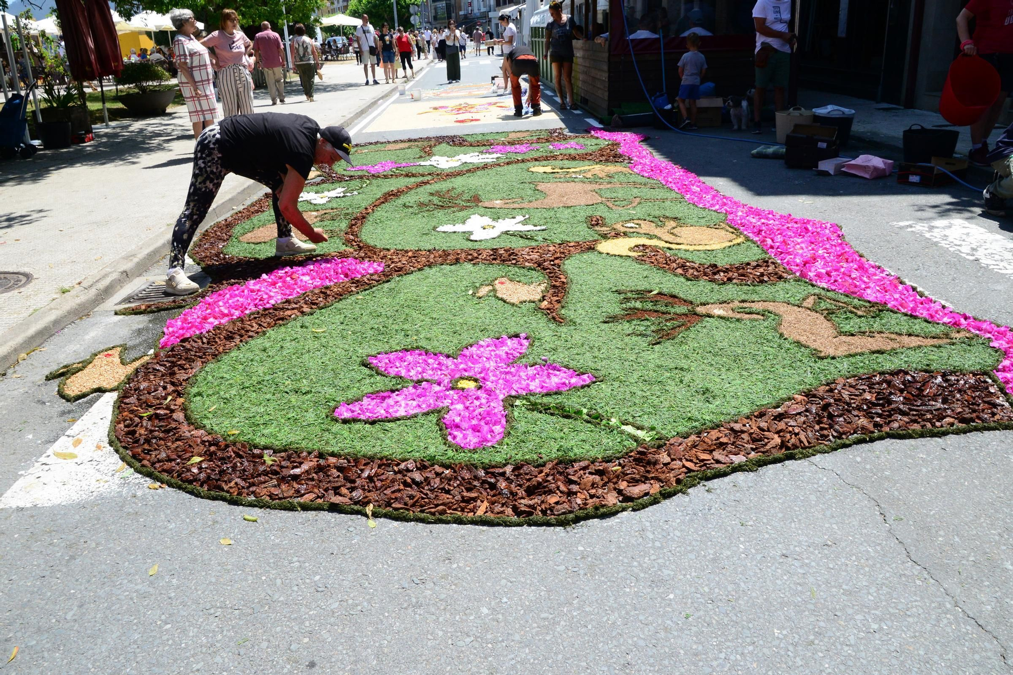 La fiesta de las alfombras florales del Corpus en Bueu (III)