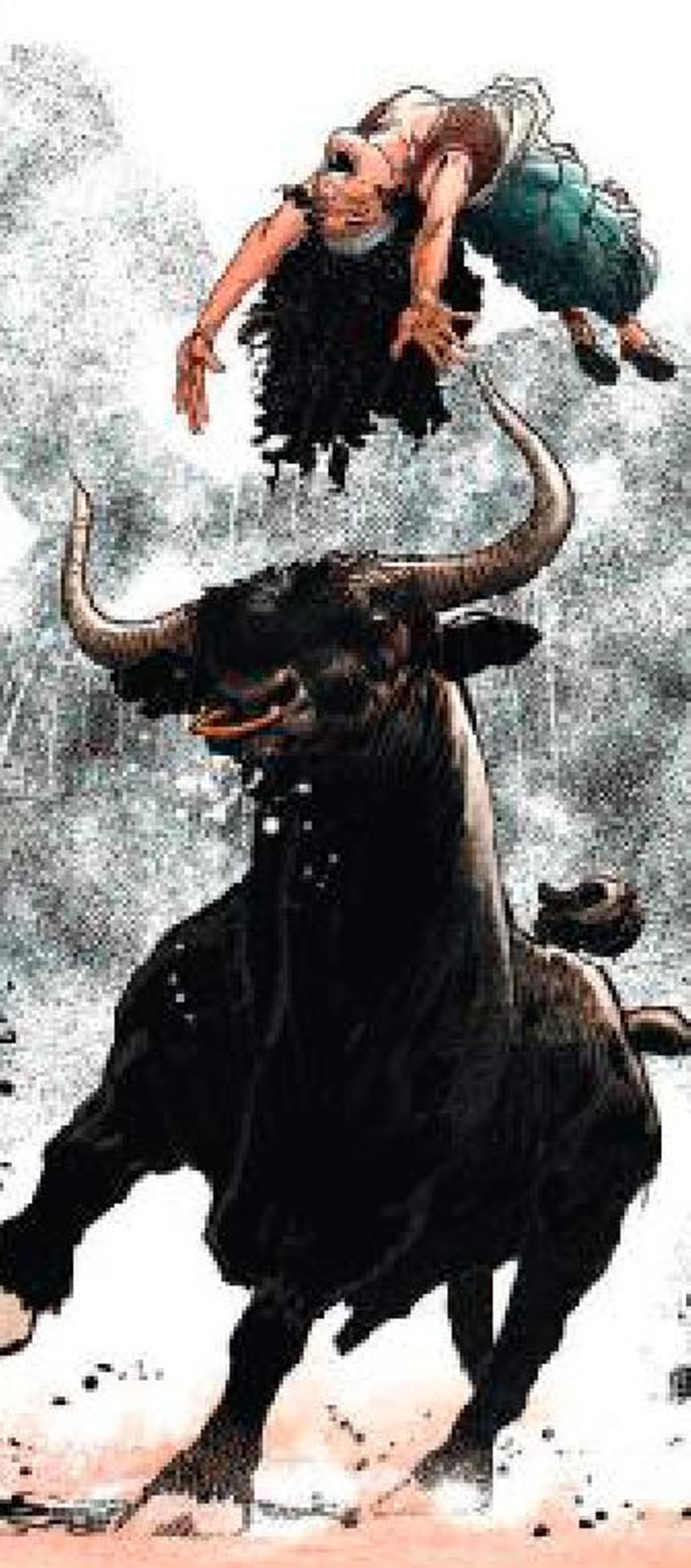 Una viñeta del libro.