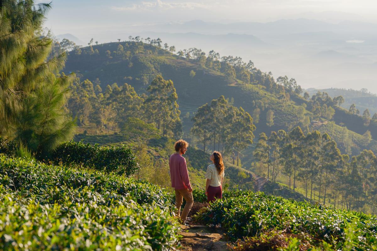En Sri Lanka podréis vivir la naturaleza más pura del sur de Asia