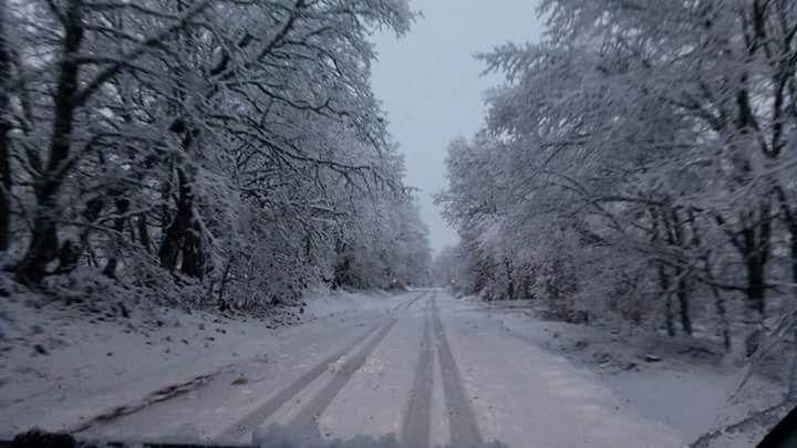 Imágenes de postal en Sanabria