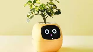 El macetero con IA que se ha vuelto viral por convertir tu planta en un tamagotchi