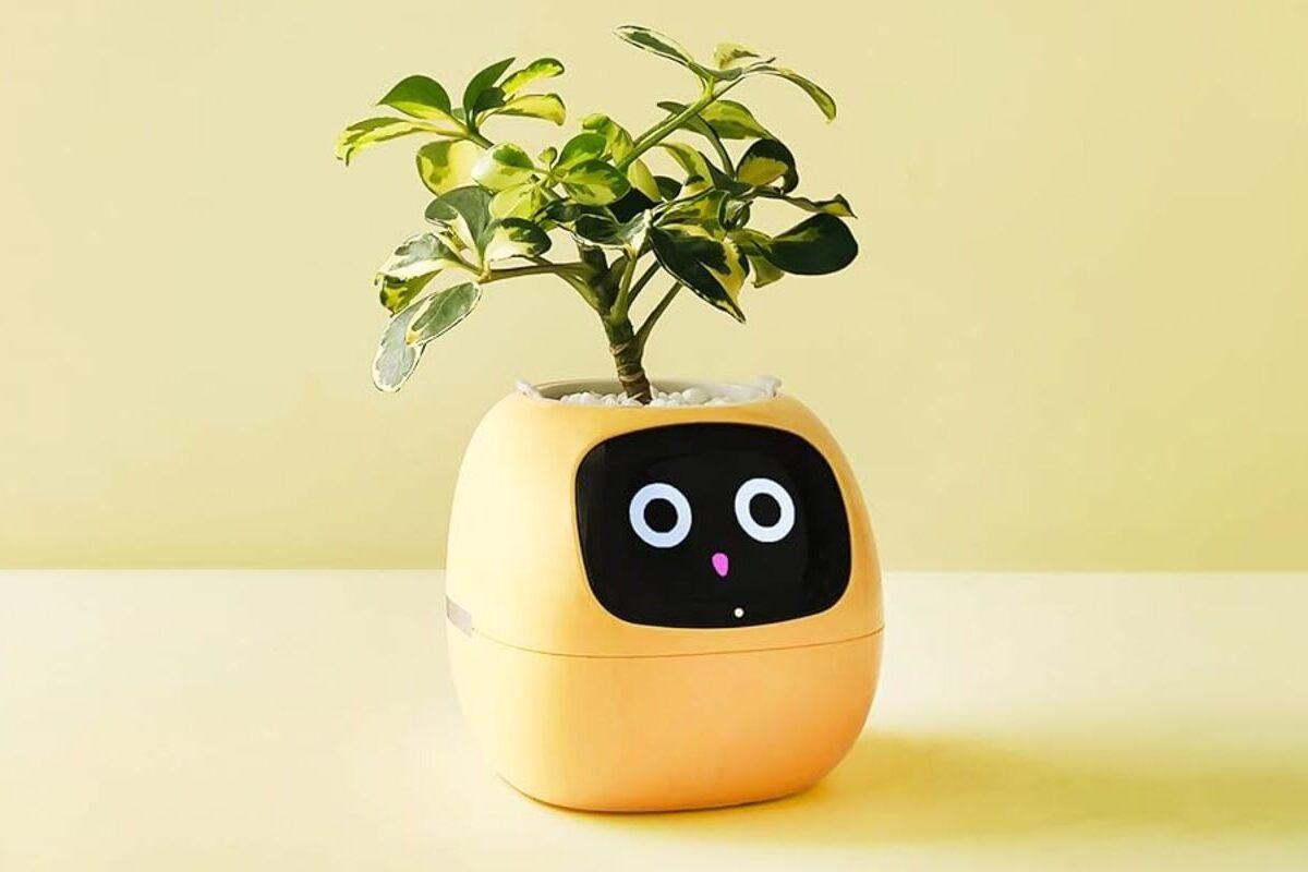 El macetero con IA que se ha vuelto viral por convertir tu planta en un tamagotchi