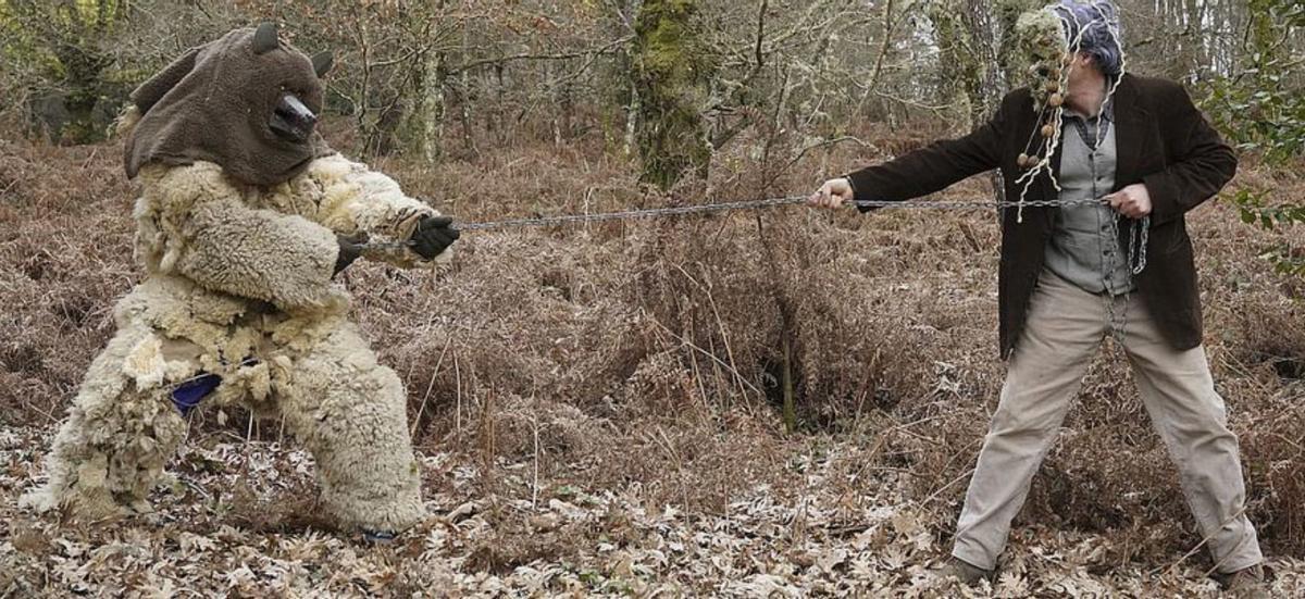 Captura del oso.   | // FDV