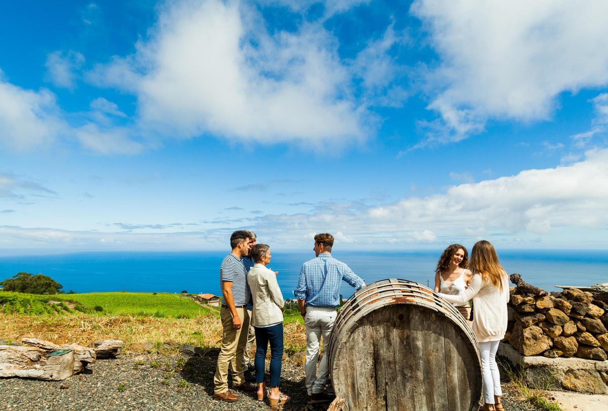 Los vinos de Tenerife cuentan con 5 denominaciones de origen