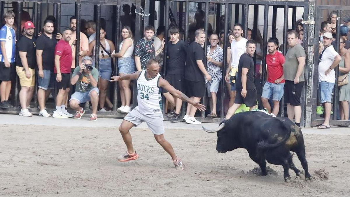 Un 'rodaor' hace un quiebro al primer toro de las fiestas patronales de Sant Bartomeu de Nules.
