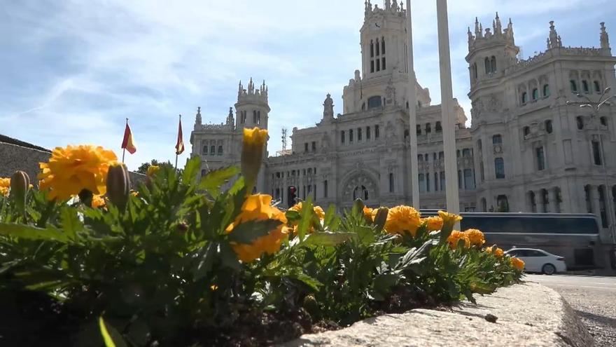 Madrid se engalana de blanco y amarillo para recibir al papa León XIV