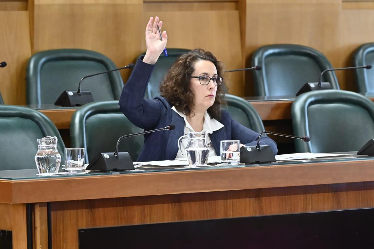 La concejala de Vox en el Ayuntamiento de Zaragoza, Eva Torres, vota a favor de sus enmiendas este miércoles.
