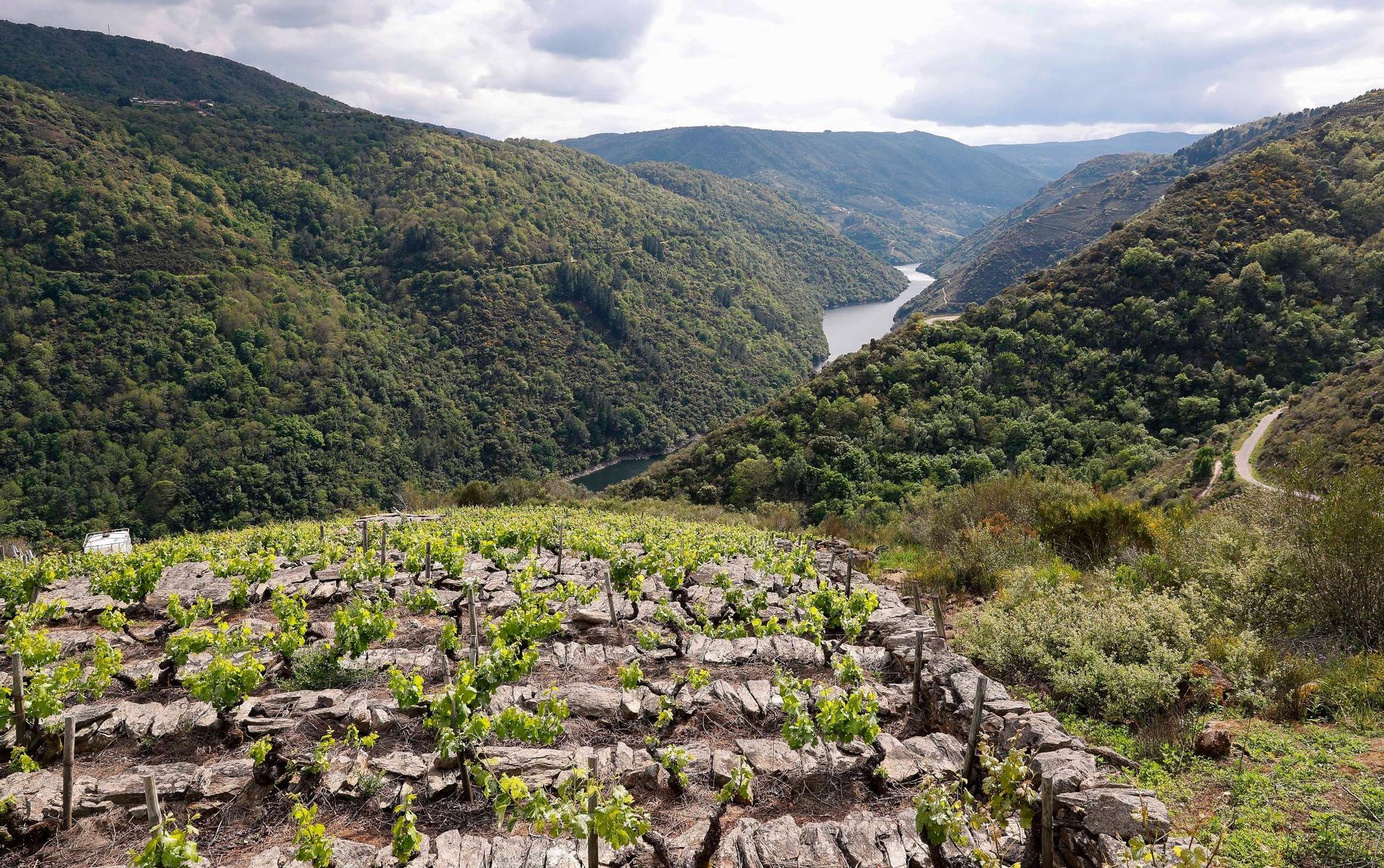 La magia de la Ribeira Sacra y los cañones del Sil, a vista de dron