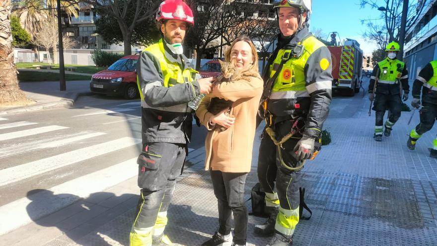 Els bombers rescaten un gat que es va amagar de l&#039;incendi de València