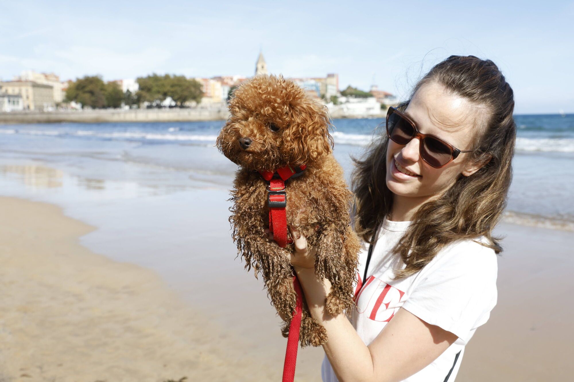 Regreso de los perros a la playa de San Lorenzo.