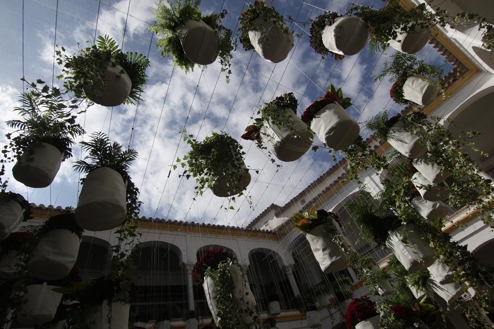 Los mejores artistas florales del mundo en Córdoba