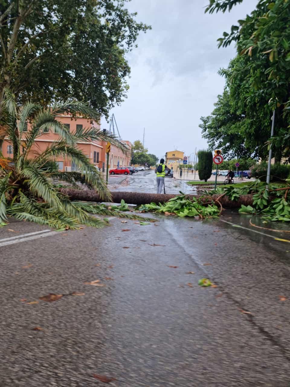 Diese Schäden hat das Unwetter auf Mallorca hinterlassen