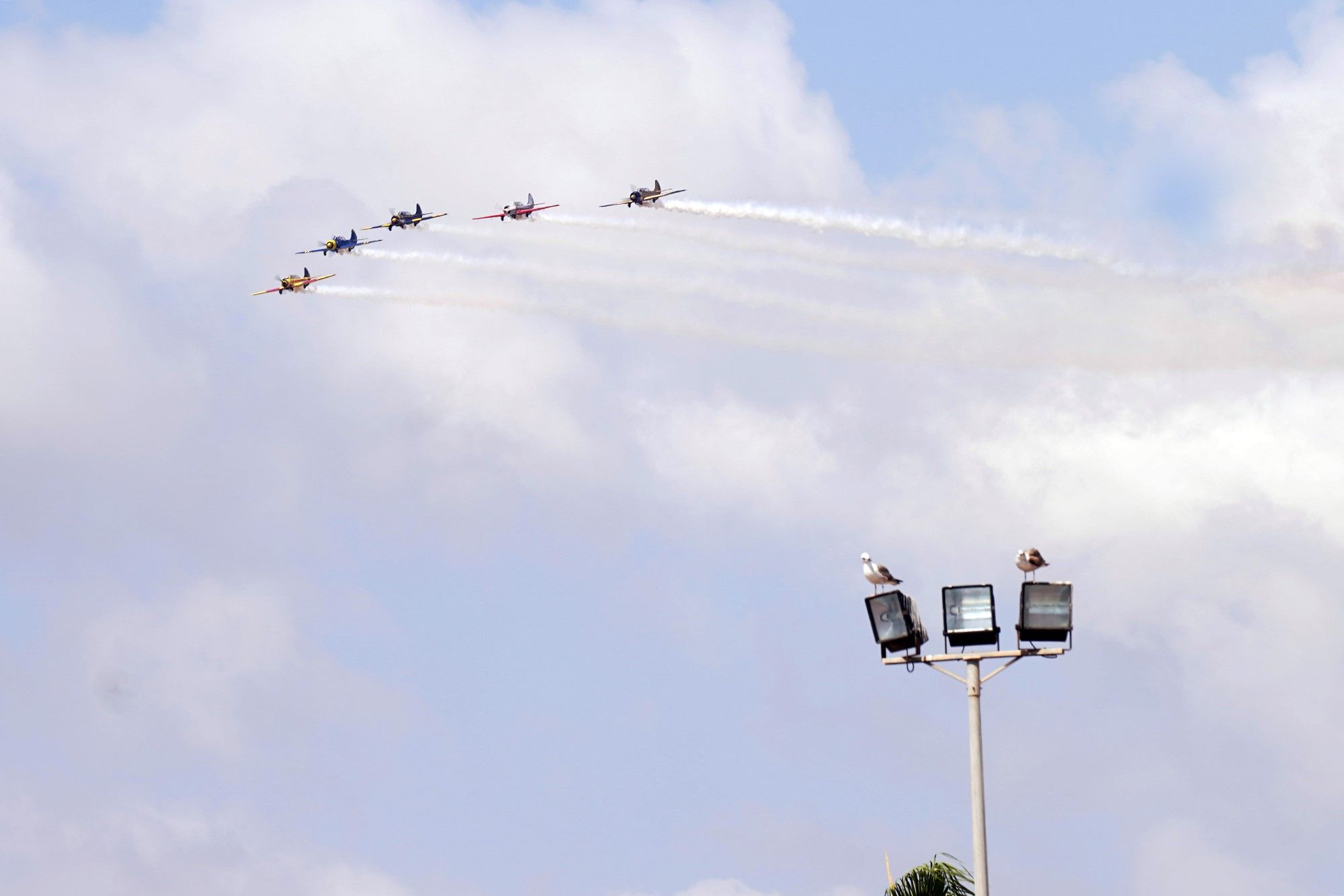 La octava edición del 'Air Show', festival aéreo de Torre del Mar, en imágenes