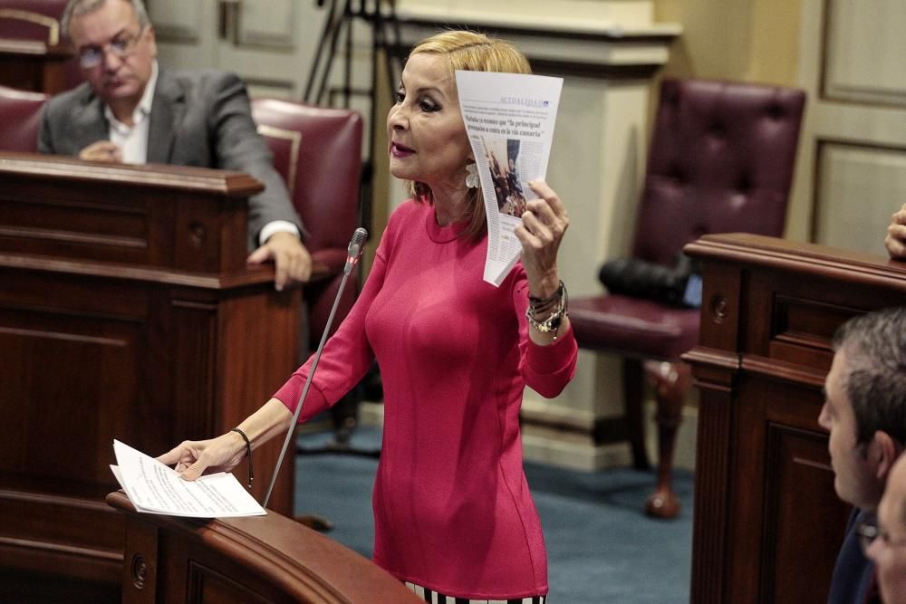 Pleno en el Parlamento de Canarias 11-02-2020  | 11/02/2020 | Fotógrafo: María Pisaca Gámez