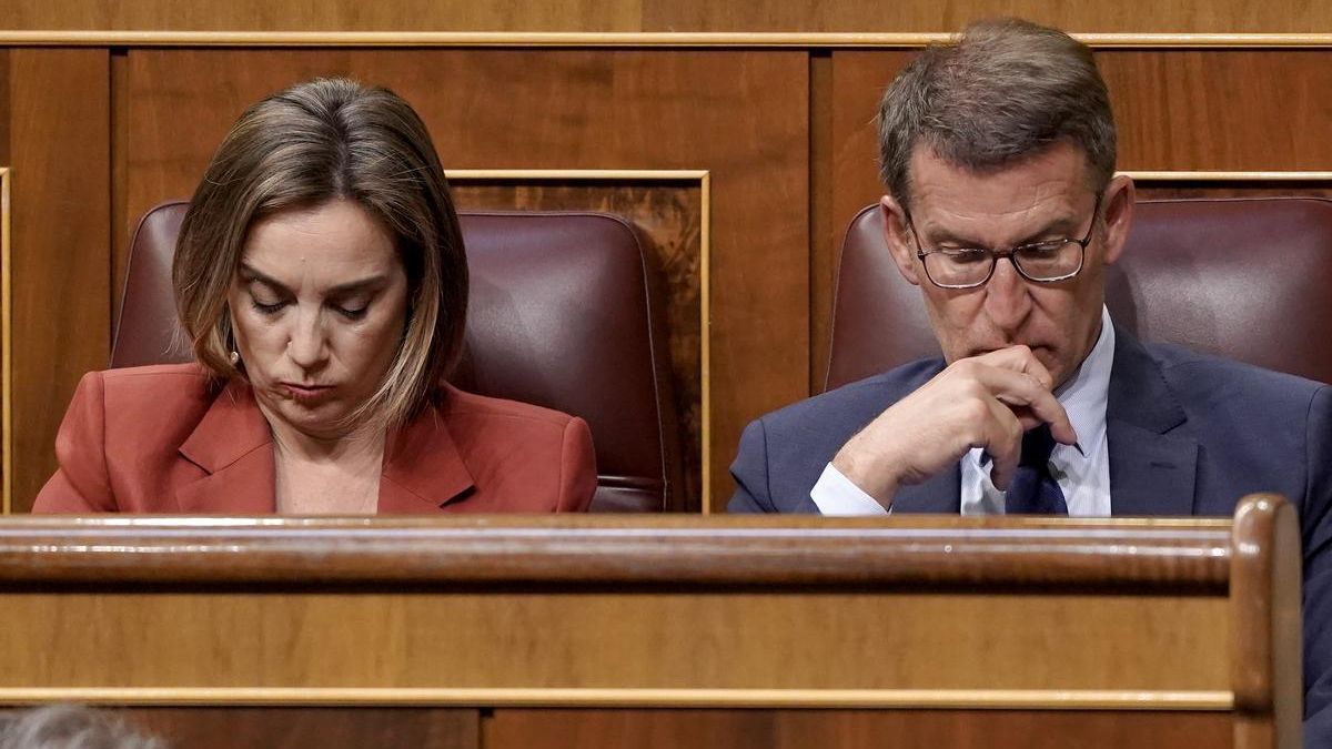 Alberto Núñez Feijóo y Cuca Gamarra en el Congreso de los Diputados durante la visita de Gustavo Petro.
