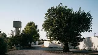 Cheste refuerza el suministro de agua con nuevas infraestructuras y un sistema de filtración