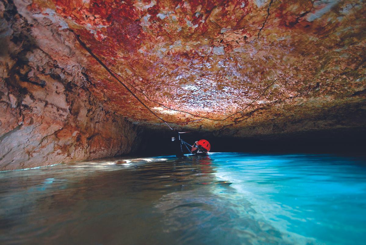 raíces que penetran en la cueva