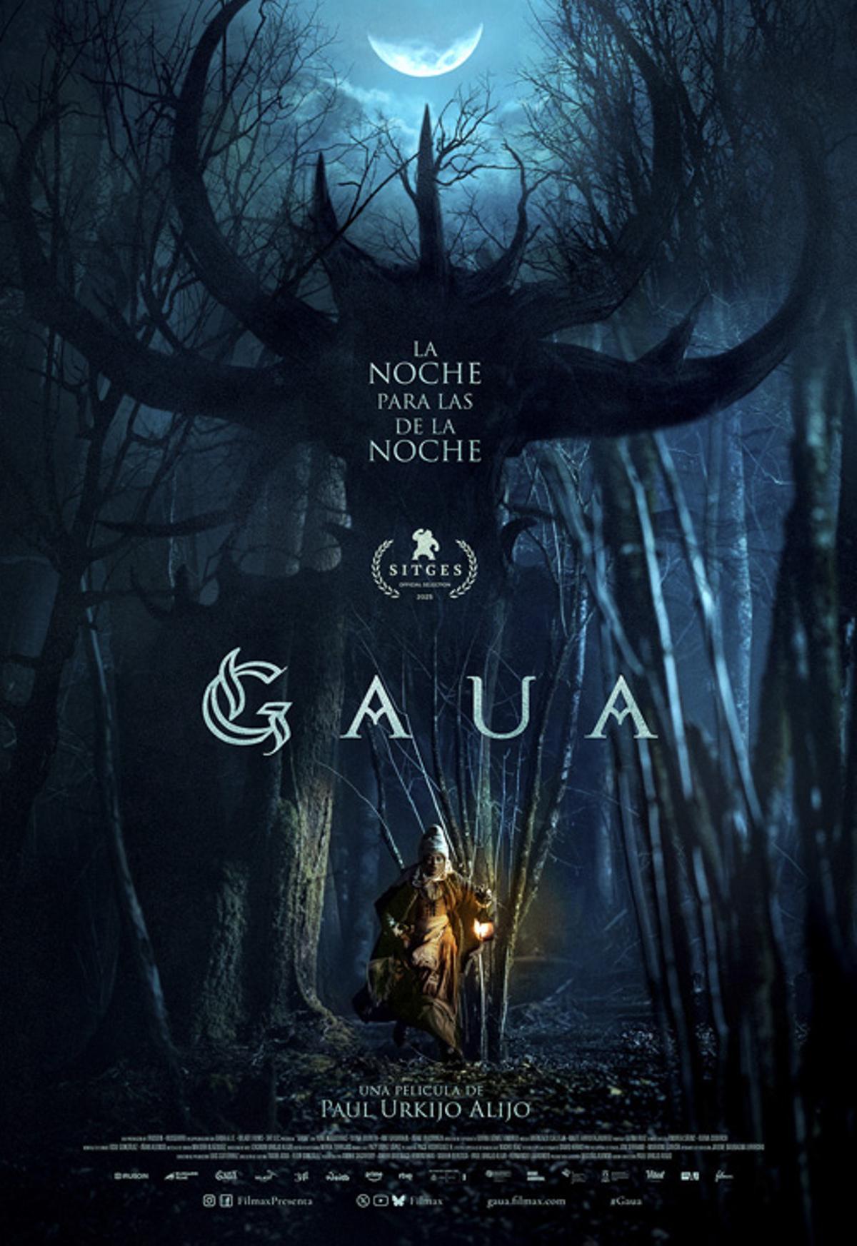 Cartel de la película a concurso "Gaua"