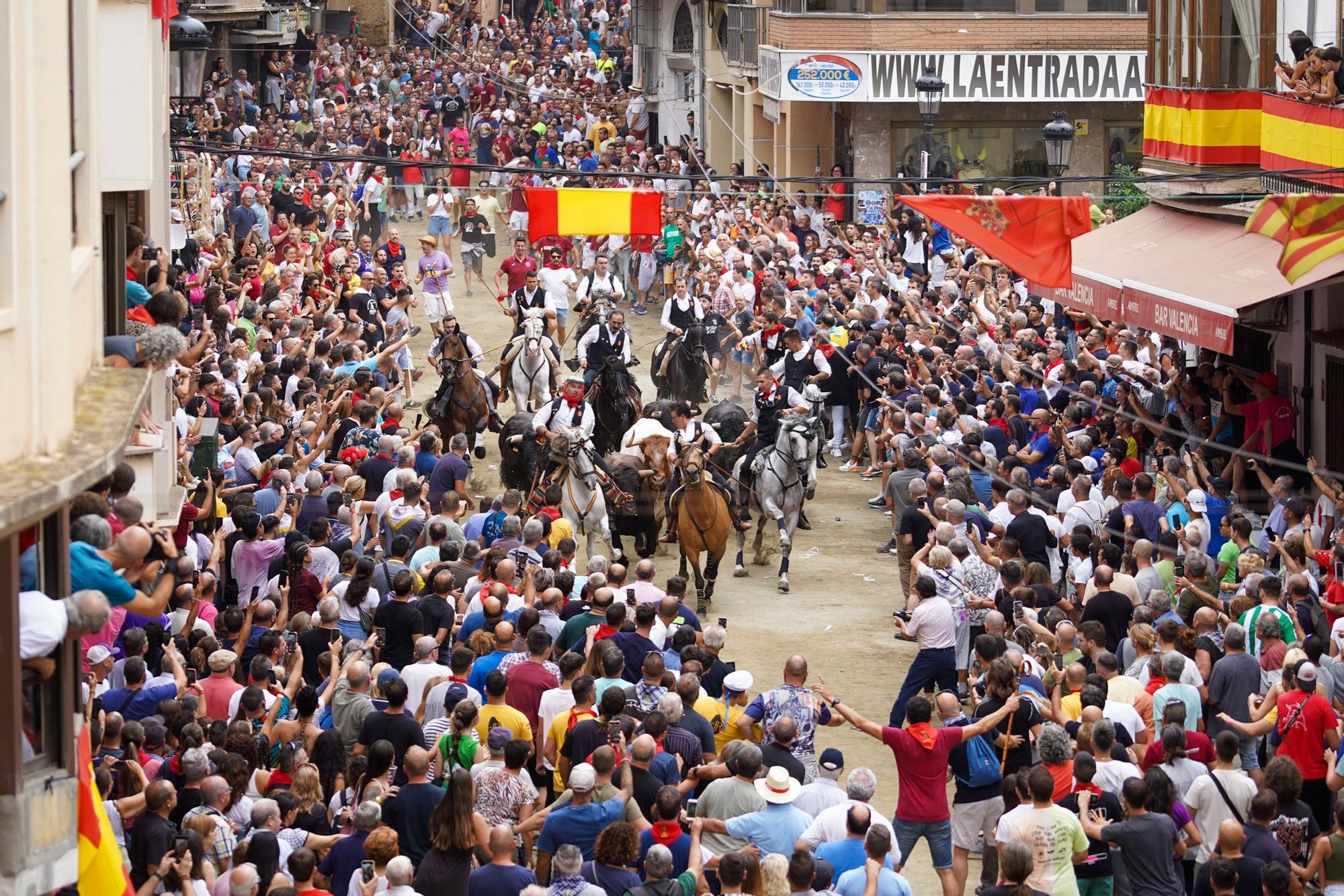 Primera entrada de caballos y toros de Segorbe