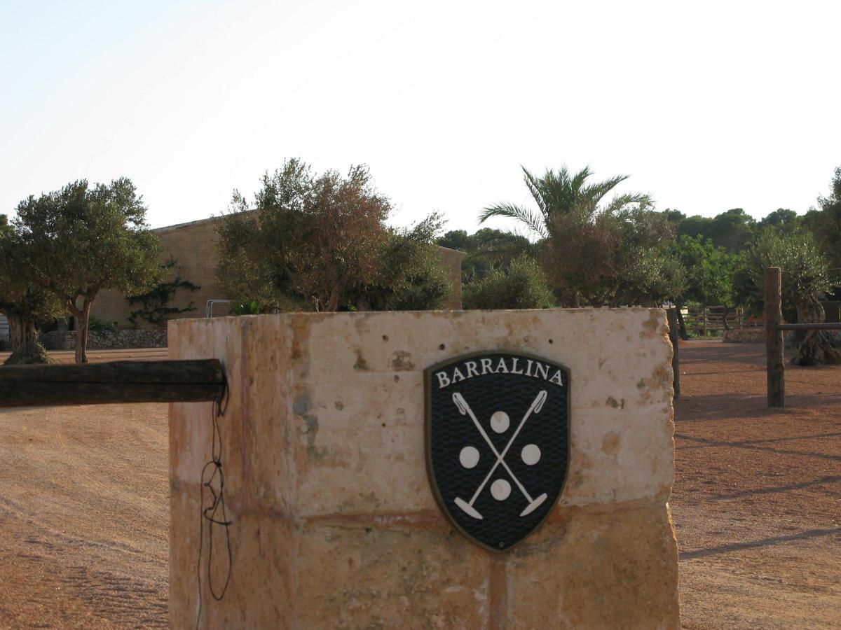 El campo de polo de sa Barralina de Campos, foco de polémica.