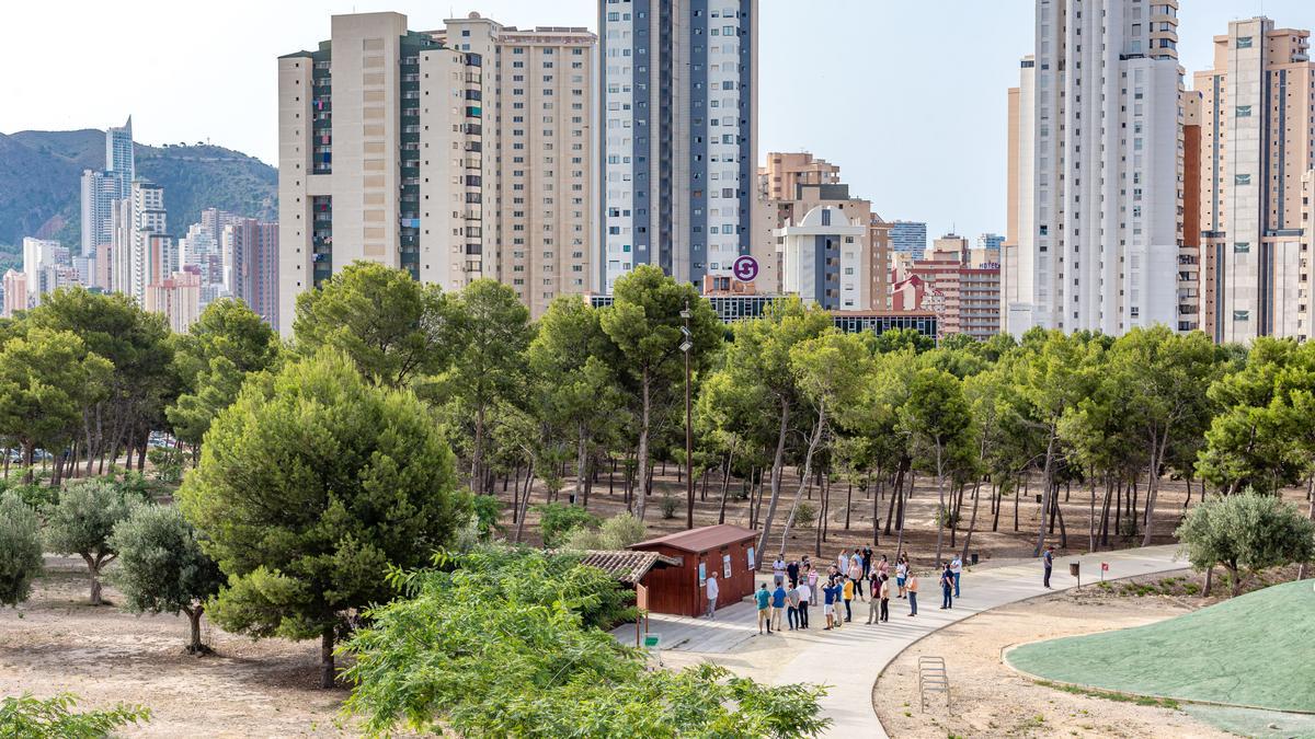 Parque Séquia Mare, donde se construirá el primer albergue juvenil de Benidorm.