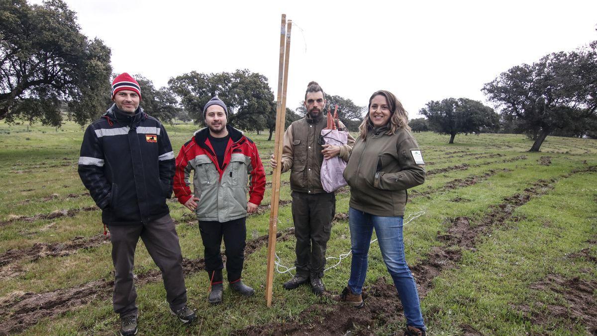 Raúl y Pere, en el centro, con José Pablo y Carmen, se preparan para trabajar en el trazado de las líneas clave en la finca, este viernes.