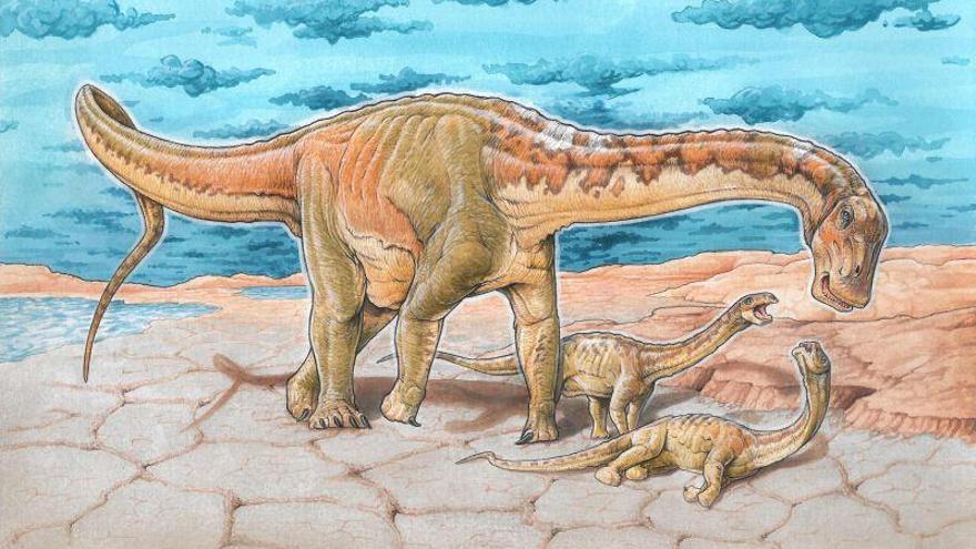 Grupo Aragosaurus lidera la descripción de dinosaurio localizado en Patagonia