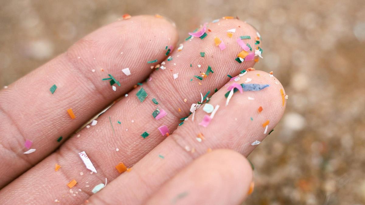 Microplásticos y nanoplásticos son un problemas omnipresente