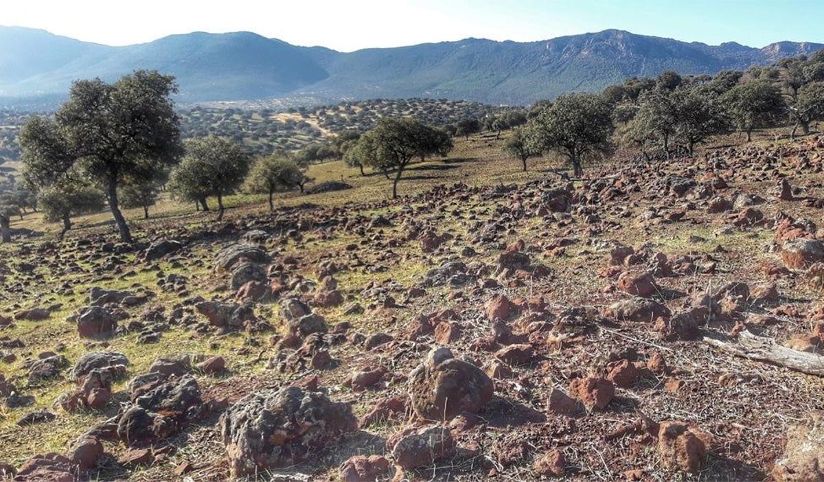 Volcán del Alhorín, Ciudad Real