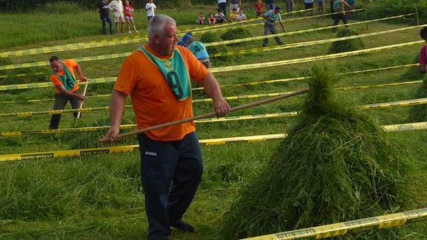 José Luis Cristóbal, &quot;el Roxu&quot;, apilando la hierba tras segar su calle.