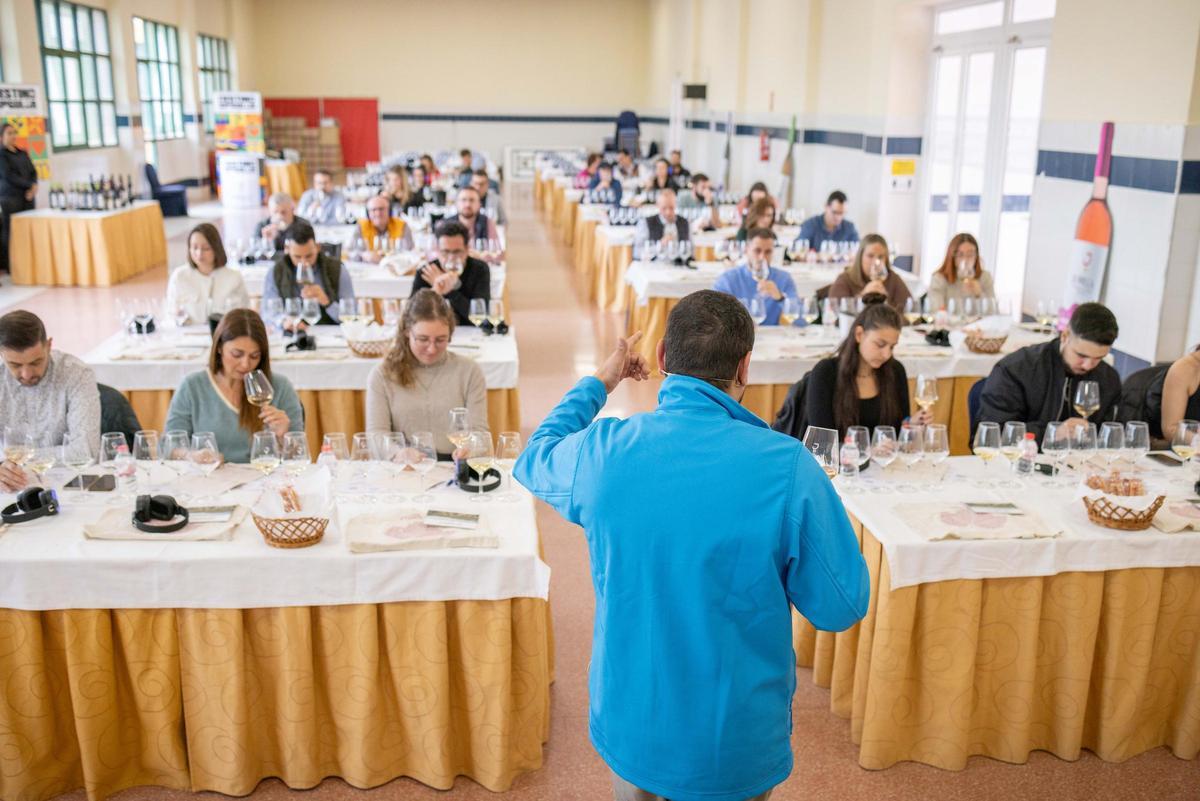 Matavendimia 2025: Catas, conciertos y visitas a bodegas