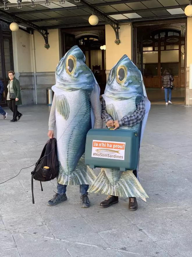Pasajeros &quot;como sardinas&quot; en el tren de València a Alcoi
