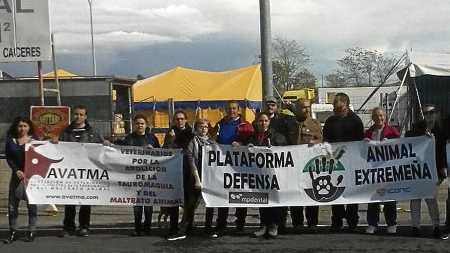 Manifestación contra el maltrato animal