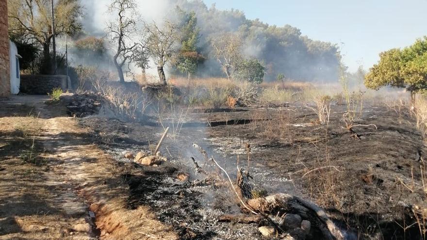 Bomberos e Ibanat extinguen un fuego agrícola en Santa Eulària